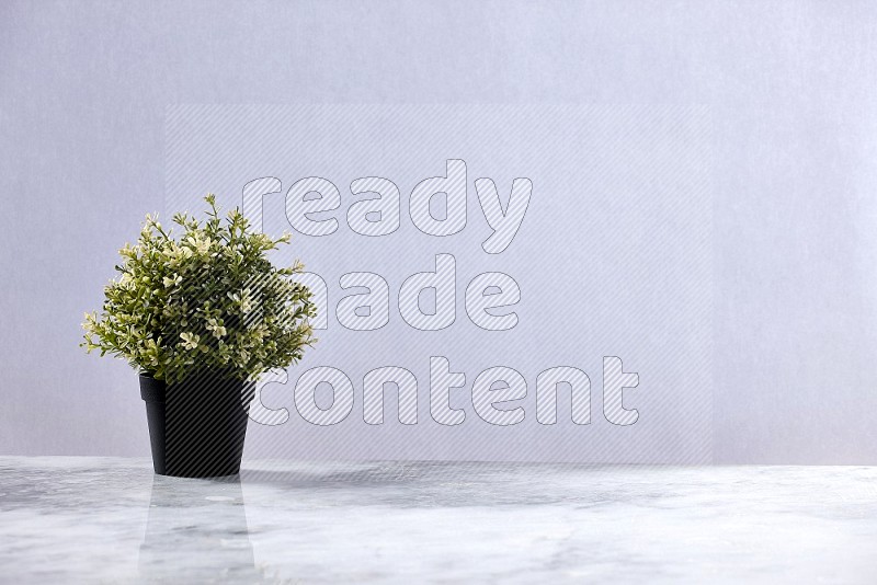 Artificial Thyme Plant in black pot on Light Grey Marble Flooring 15 degree angle
