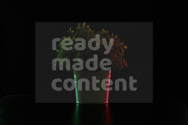 Plastic potted plant with colored rim light against black background