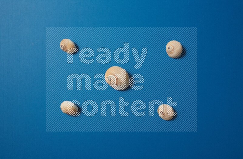 top view shot of seashells arrangement on blue background