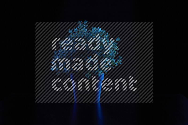 Plastic potted plant with colored rim light against black background