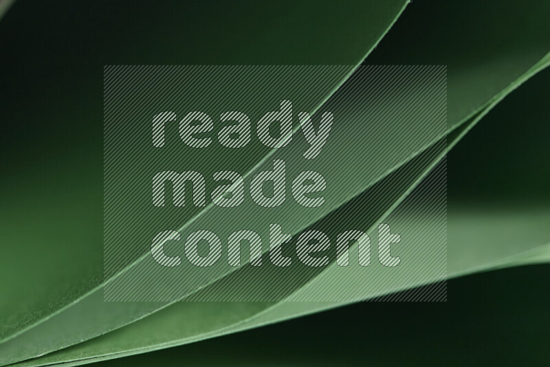 An abstract art showing green paper sheets arranged in an overlapping curves