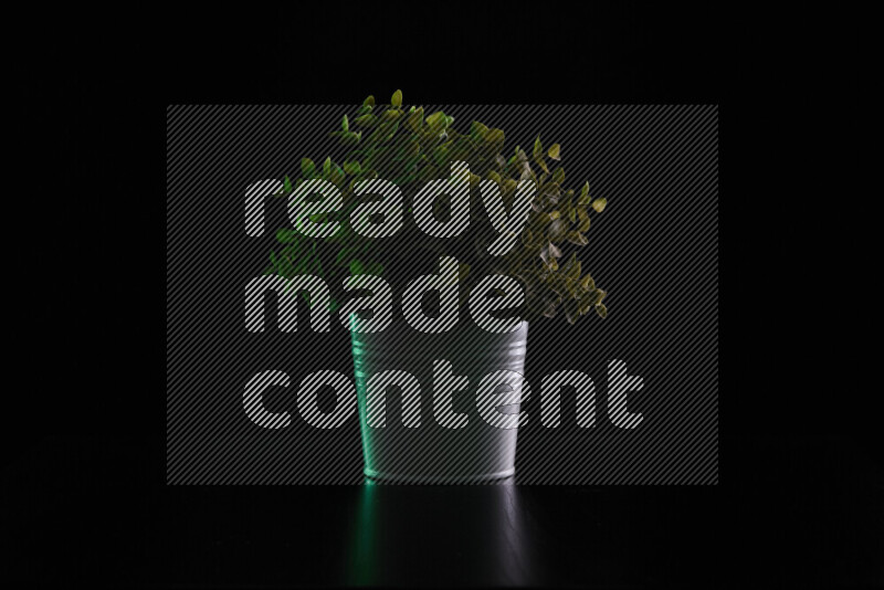 Plastic potted plant with colored rim light against black background