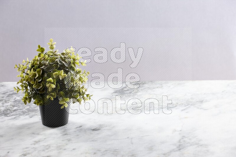 Green artificial plant in black pot on grey marble background