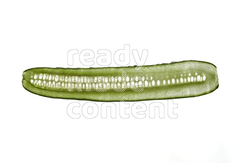 Cucumber slices on illuminated white background