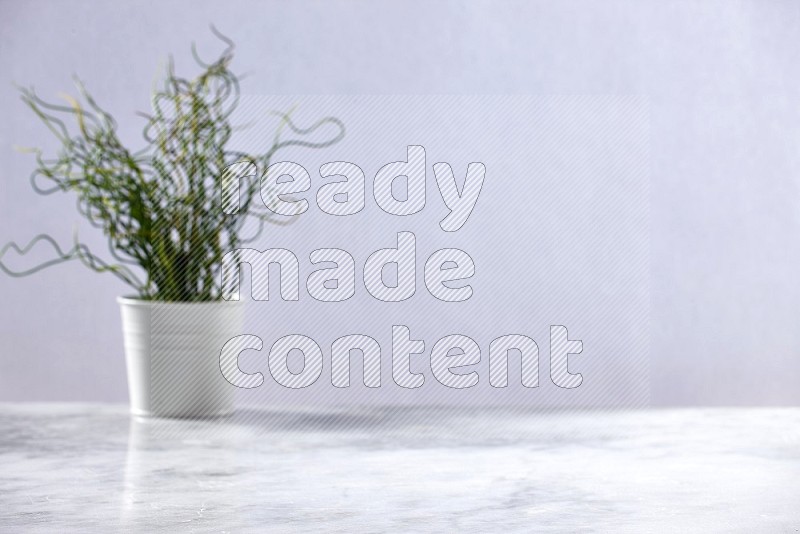 Artificial Plant in White pot (out of focus background) on Light Grey Marble Flooring 15 degree angle
