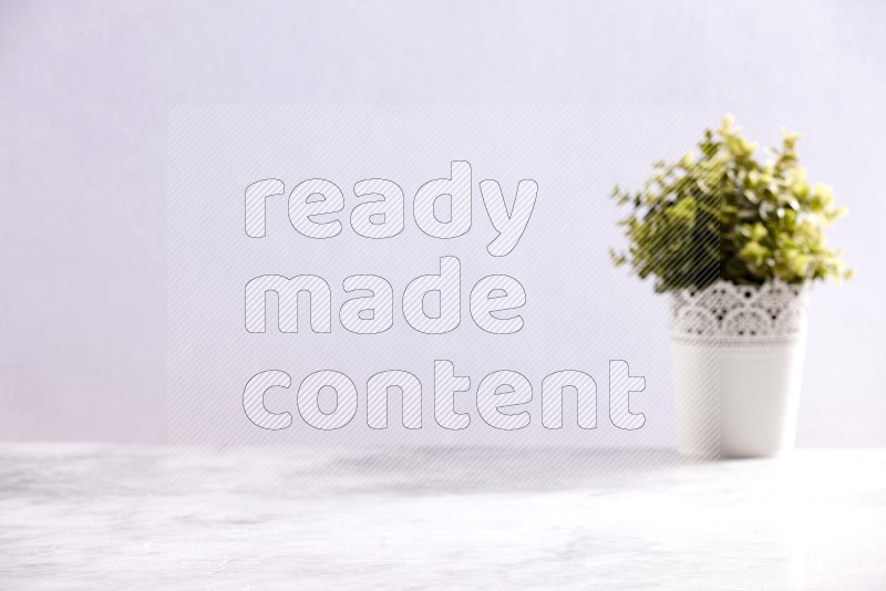 Artificial Plant in White decorative pot (out of focus background) on Light Grey Marble Flooring 15 degree angle