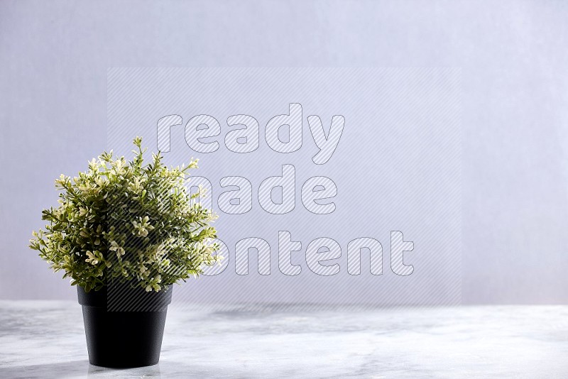 Artificial Thyme Plant in black pot on Light Grey Marble Flooring 15 degree angle