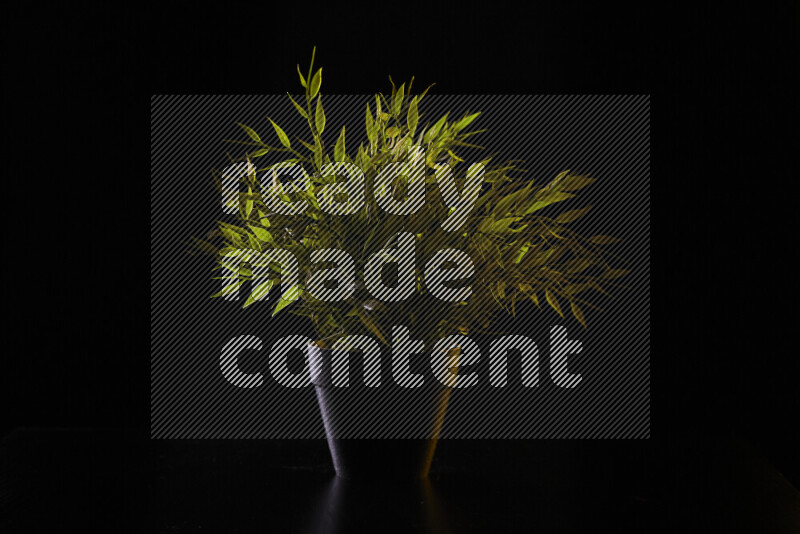 Plastic potted plant with colored rim light against black background