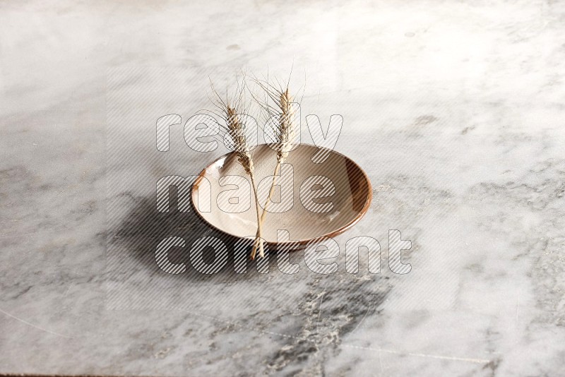 Wheat stalks on Multicolored Pottery Plate on grey marble flooring, 45 degree angle