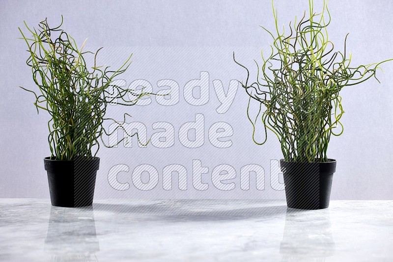 Two Artificial Plants in black pot on Light Grey Marble Flooring 15 degree angle