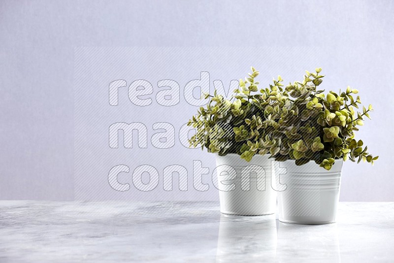 Two Artificial Plants in White Pot on Light Grey Marble Flooring 15 degree angle