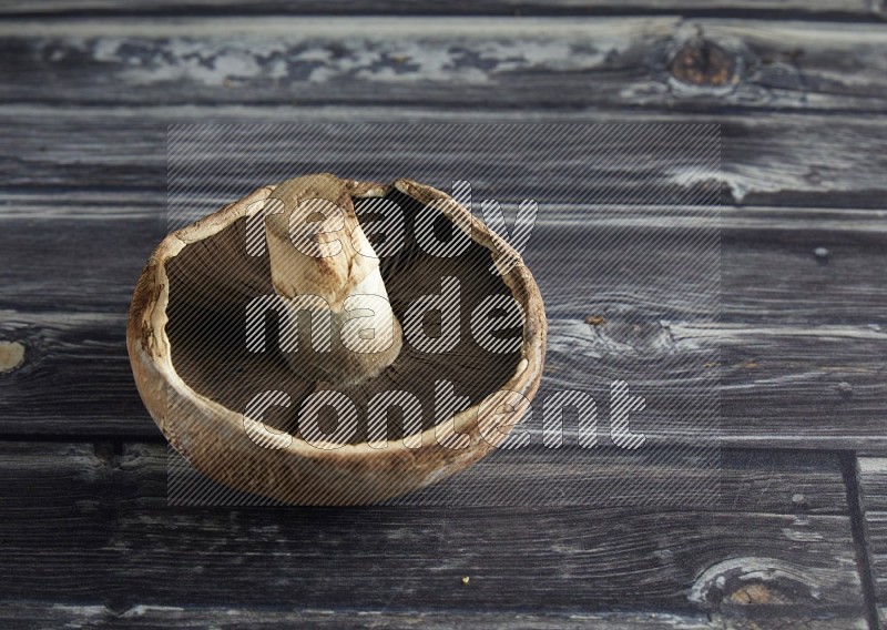 45 degree portobello mushrooms on a textured grey background