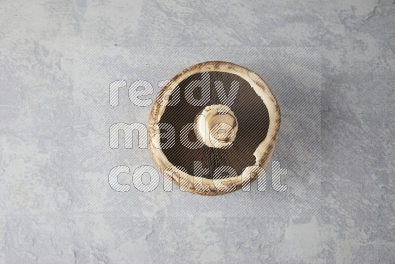 Fresh portobello mushrooms topview  on a light blue background
