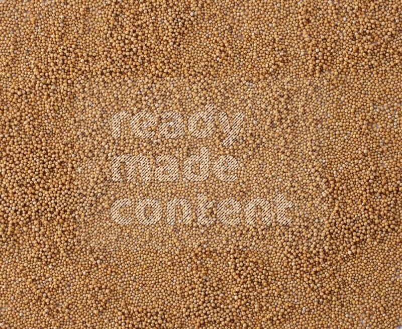 Mustard seeds spread on a white flooring