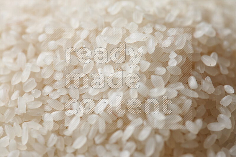 White rice on white background