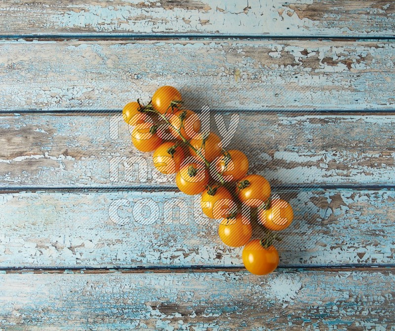 Single cherry Tomato vein topview on a light blue wooden background