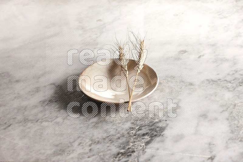 Wheat stalks on Beige Pottery Plate on grey marble flooring, 45 degree angel