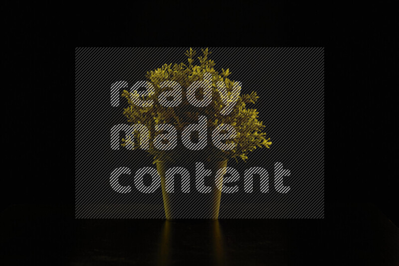 Plastic potted plant with colored rim light against black background