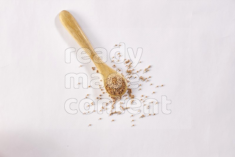 A wooden spoon full of mustard seeds on a white flooring