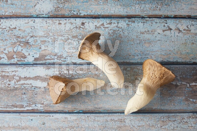 Fresh King oysters mushrooms topview on a light blue wooden background