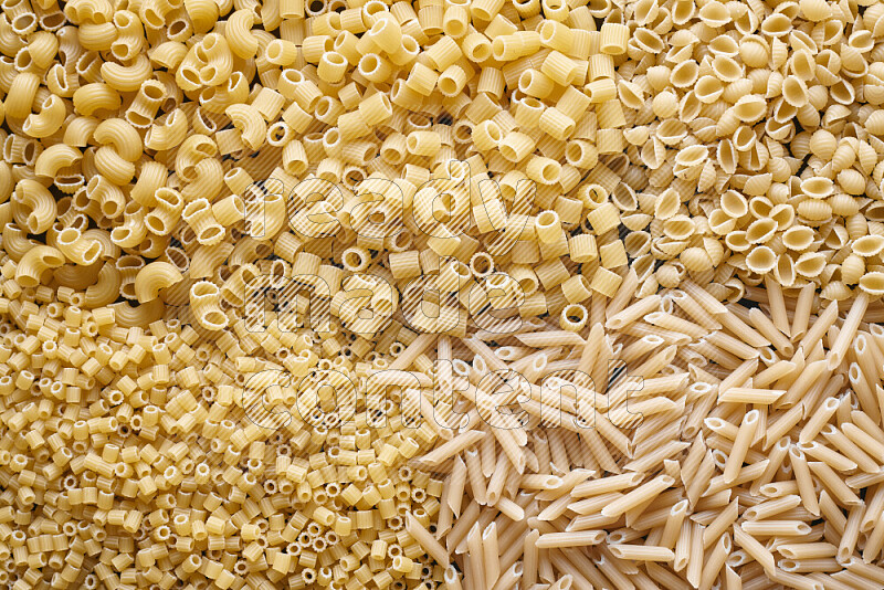 5 types of pasta filling the frame