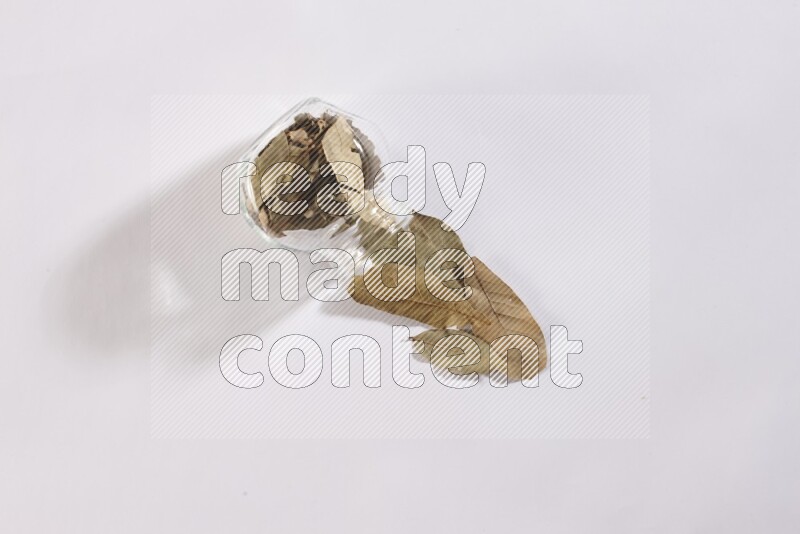 وعاء زجاجي ممتلئ بأوراق الغار والوعاء مقلوب وبعض الأوراق متناثرة خارجه علي خلفية بيضاء