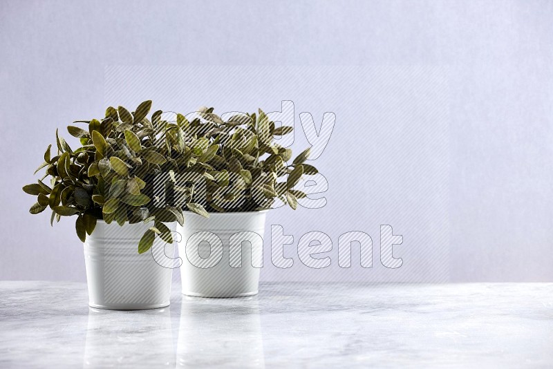 Two Artificial Plants in White Pot on Light Grey Marble Flooring 15 degree angle