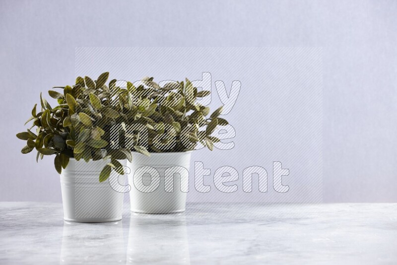 Two green artificial plants in white pot on grey marble background