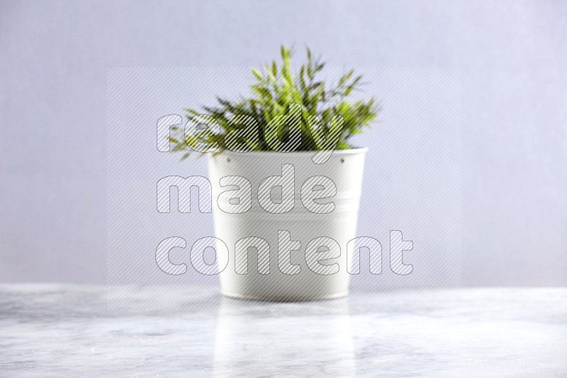 Artificial Plant in White pot (out of focus background) on Light Grey Marble Flooring 15 degree angle