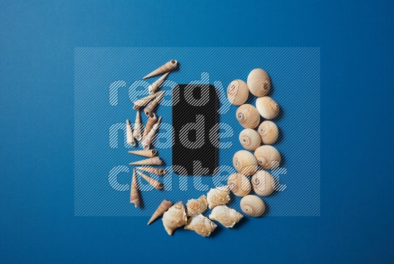 top view shot of phone with seashells on blue background