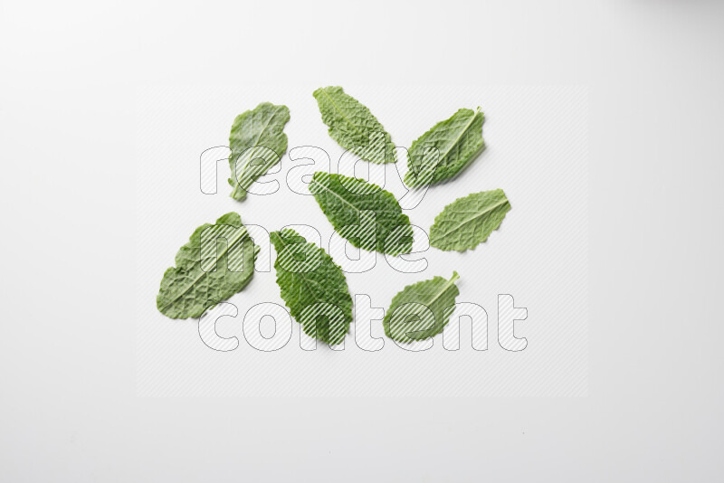 An array of kale leaves spread out on a white background