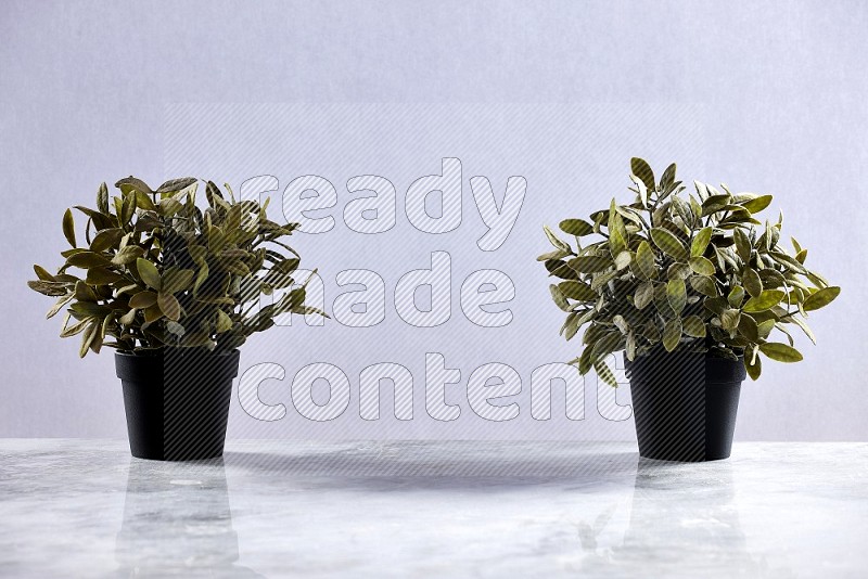 Two Artificial Plants in black pot on Light Grey Marble Flooring 15 degree angle