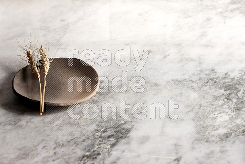 Wheat stalks on Multicolored Pottery Plate on grey marble flooring, 45 degree angle