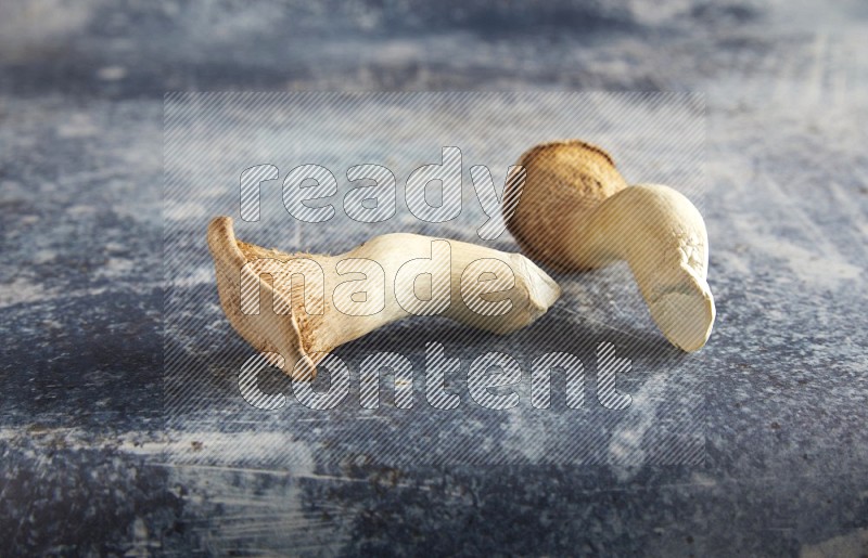 45 degre king oysters mushrooms on a textured rustic blue background