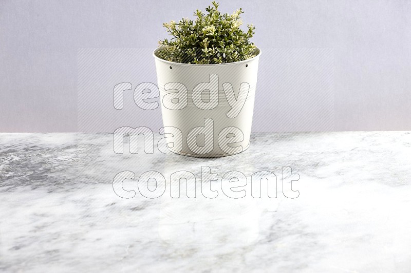 Artificial Thyme Plant in White pot on Light Grey Marble Background 45 degree angle