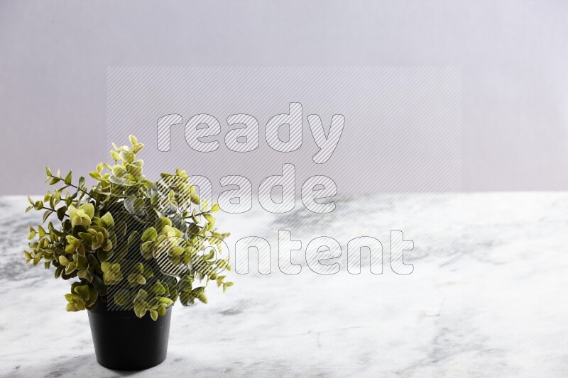 Green artificial plant in black pot on grey marble background