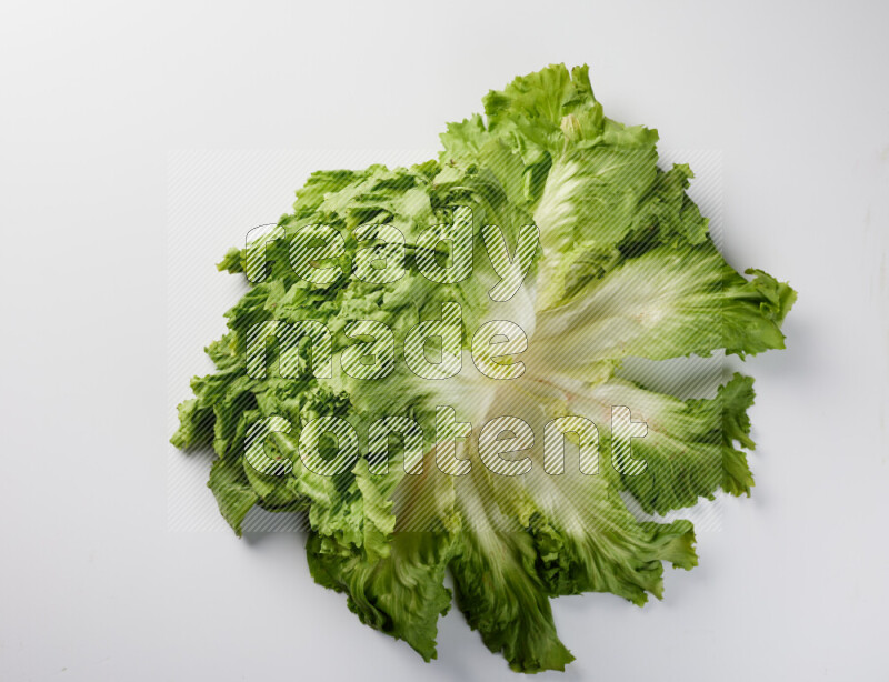 A fresh head of lettuce with green leaves on white background