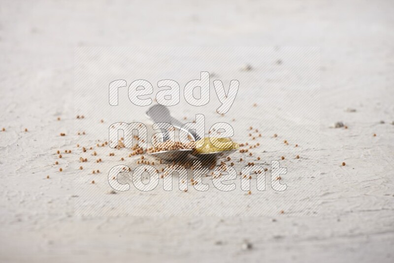 Two metal spoons, one filled with mustard seeds and the other with mustard paste on white background