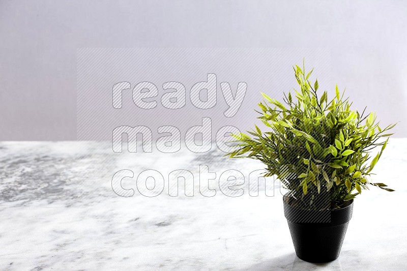 Artificial Plant in black pot on Light Grey Marble Background 45 degree angle