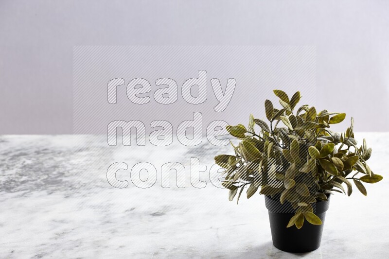 Green artificial plant in black pot on grey marble background