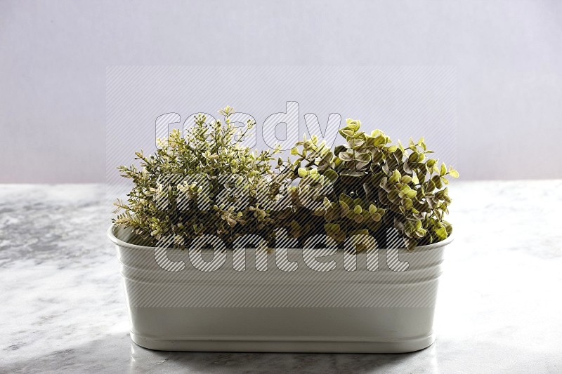 Multiable Artificial Plants in White Pot on Light Grey Marble Background 45 degree angle