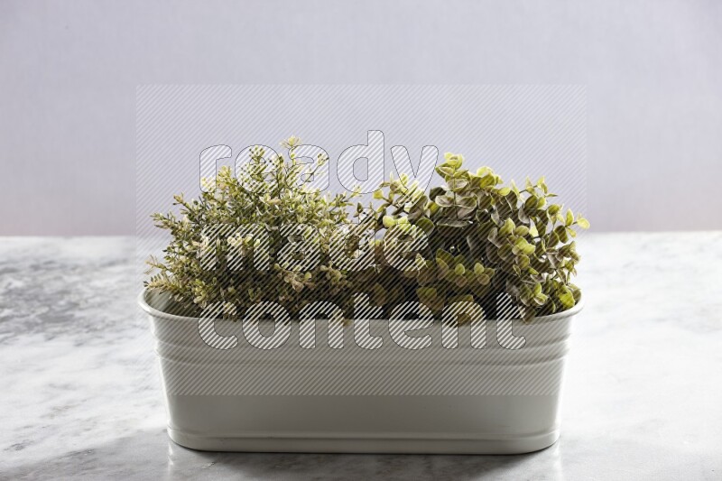 Multiple green artificial plants in white pot on grey marble background
