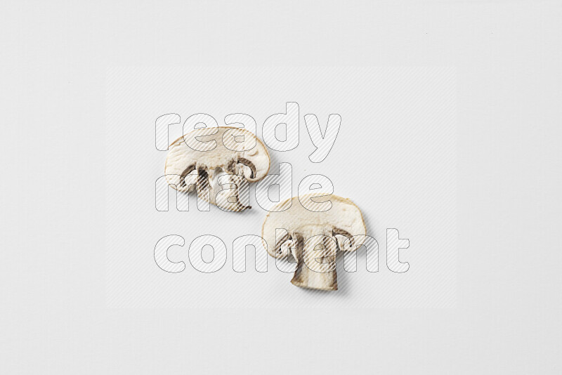 Mushrooms on white background