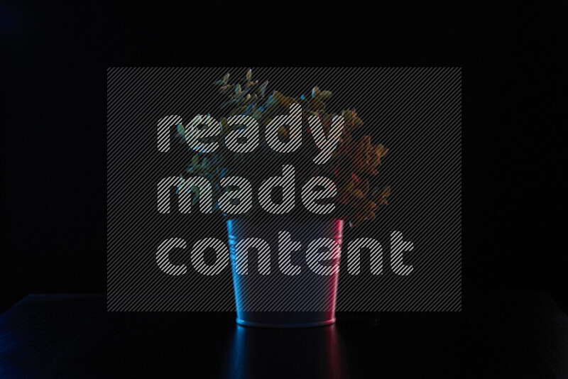 Plastic potted plant with colored rim light against black background