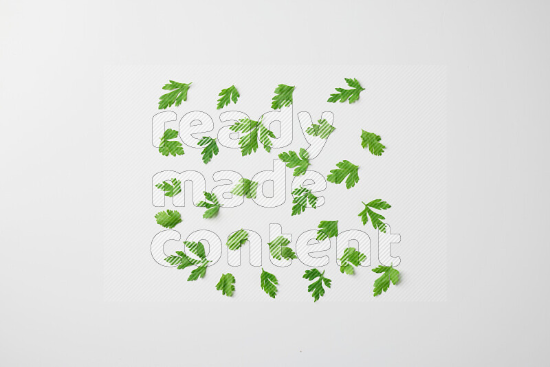 Scattered fresh parsley leaves on white background