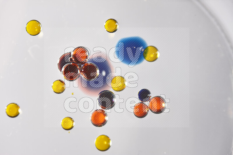 Close-ups of abstract red, blue and yellow watercolor drops on oil Surface on white background