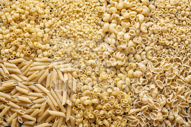 7 types of pasta filling the frame