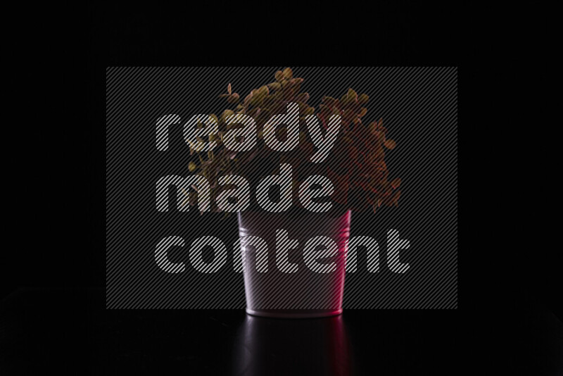 Plastic potted plant with colored rim light against black background