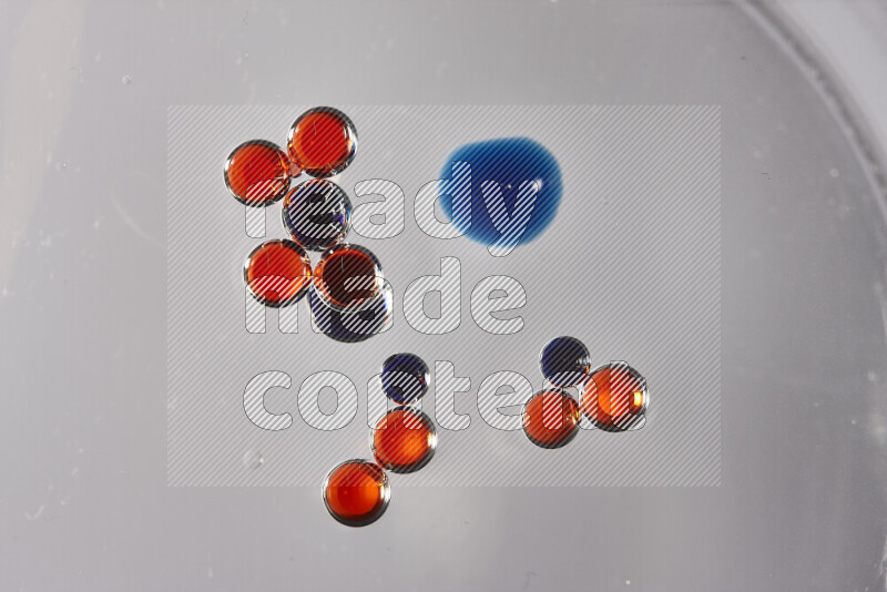 Close-ups of abstract red and blue watercolor drops on oil Surface on white background