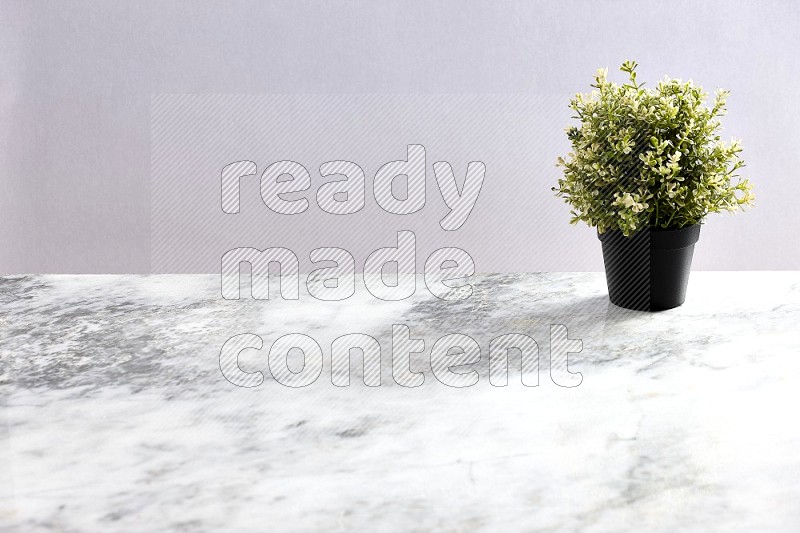 Artificial Thyme Plant in black pot on Light Grey Marble Background 45 degree angle